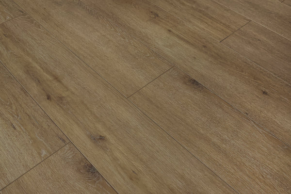 Toucan Laminate TF63